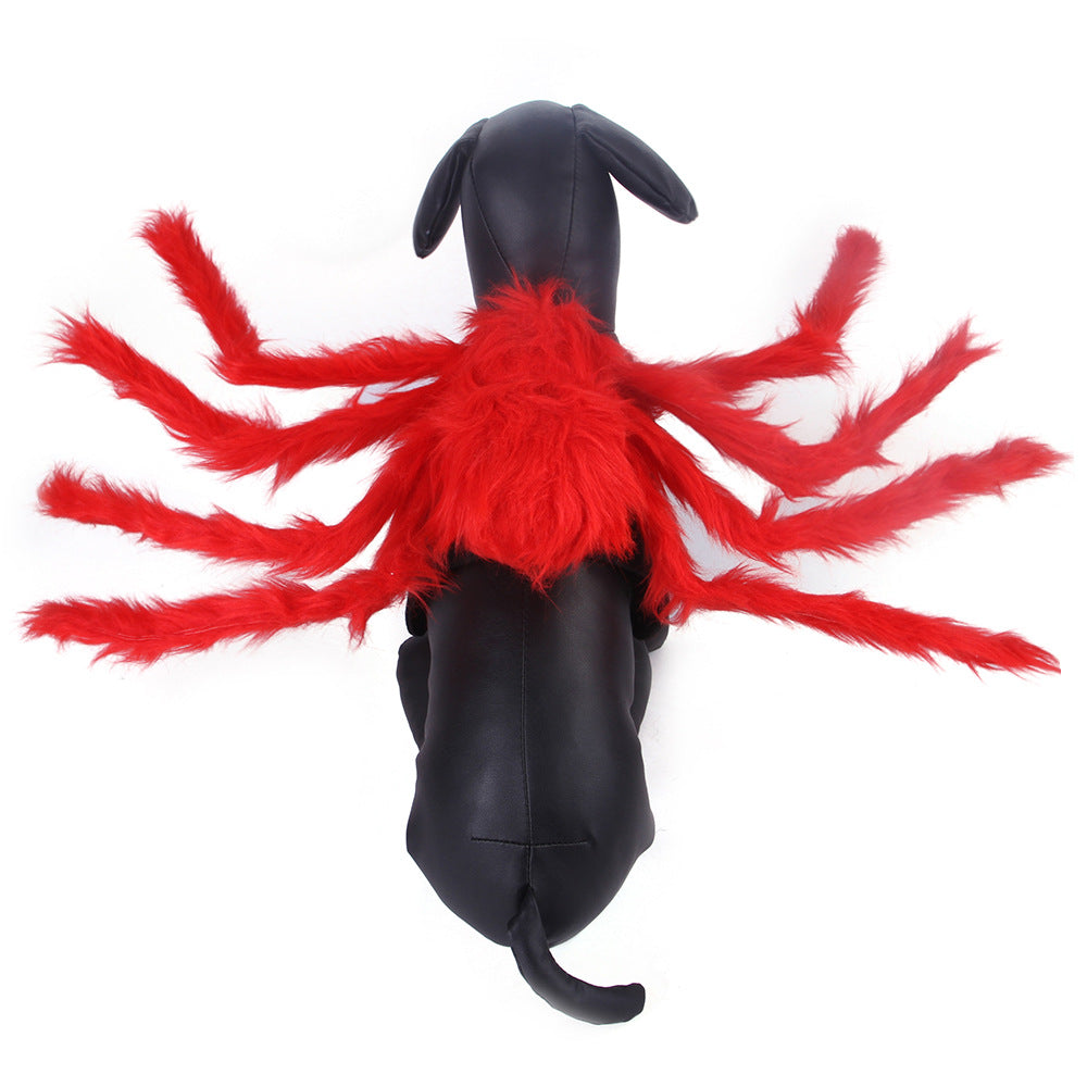 Spider Halloween Costume for Cats & Dogs
