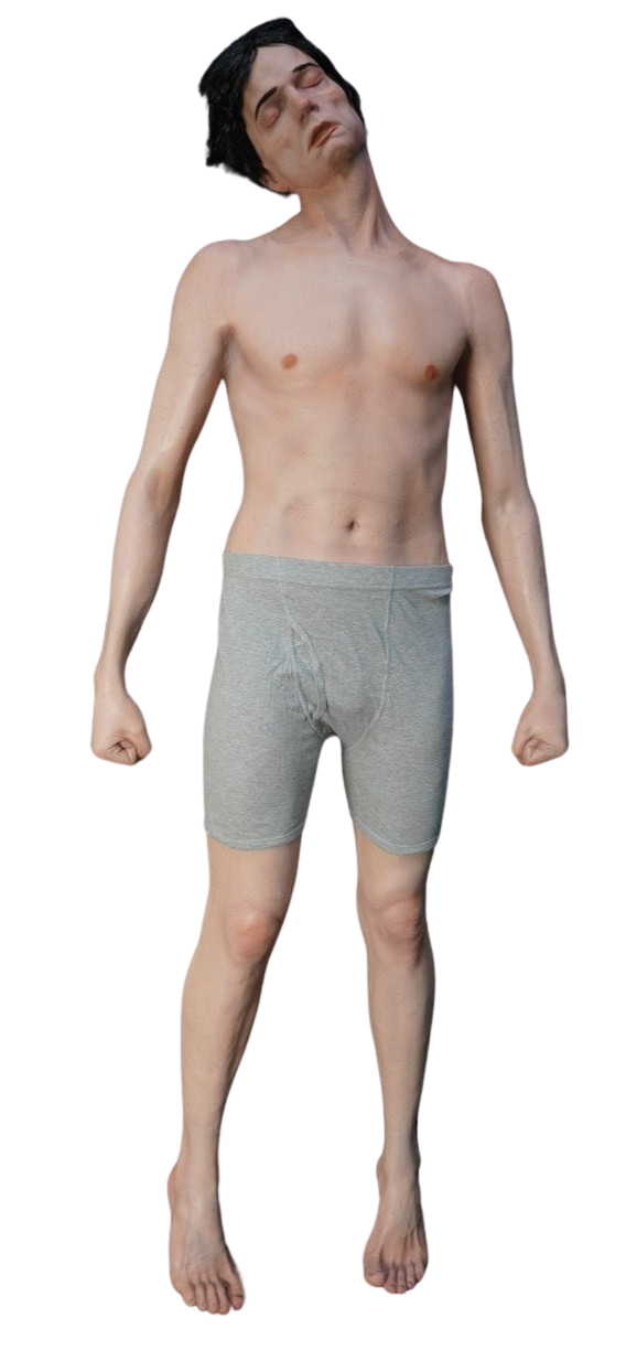 Alan Full Body