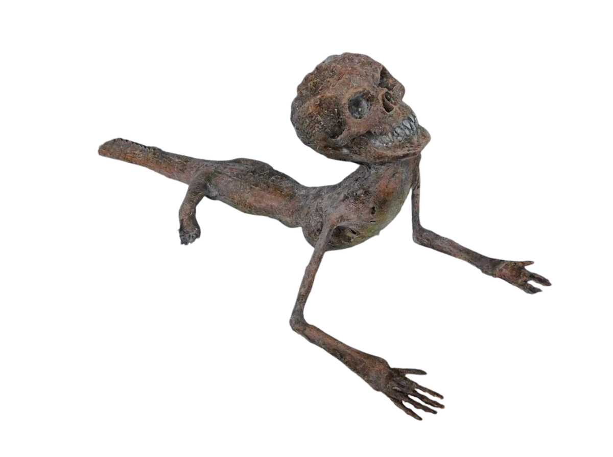 Alligator Boy Gaff