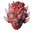 Alien Heart Prop